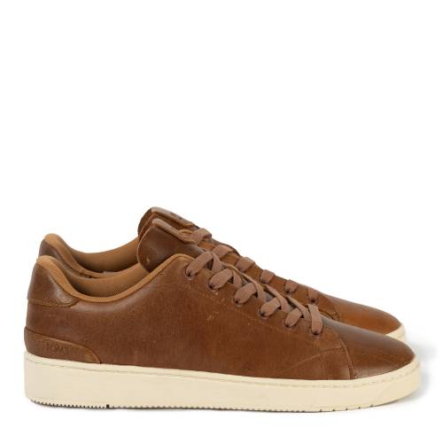 Αντρικό Αθλητικό TOMS Trvl...